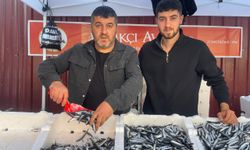 Zonguldak’ta hamsinin fiyatı 75 liraya düştü