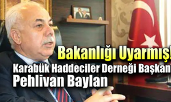 Baylan: "Yüzde 25 yerli kütük zorunluluğu üretimi durdurur"