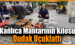 Tezgahlarda kanlıca bolluğu yaşanıyor: Kilosu 500 TL’ye kadar çıktı