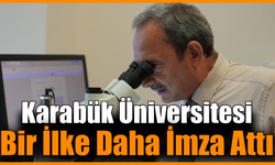 Batı Karadeniz orman fidanlıklarında toprak canlıları ilk kez araştırılıyor