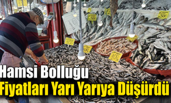 Soğuk havalar hamsiye bereket getirdi