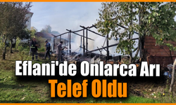 Yangında 36 kovan arı telef oldu