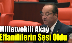 Akay, Karabük'ün sorunlarını gündeme taşımayı sürdürüyor