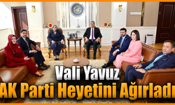 AK Parti Kadın Kolları Başkanı Ercan Vali Yavuz ile görüştü