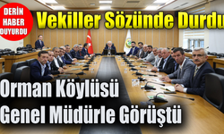 Milletvekilleri Şahin ve Keskinkılıç orman köylüsüne sözünü tuttu