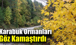 Karabük ormanlarındaki sonbahar renkleri mest ediyor