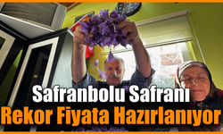 AB tescilli safranın hasadı sürüyor