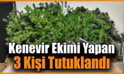 Çiftlikte ve ormanda yasaklı bitki ele geçirildi
