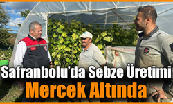 Safranbolu'da örtü altı sebze üretimine yerinde ziyaret