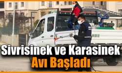 Karabük’te haşerelere karşı aralıksız mücadele sürüyor