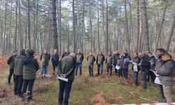 Bolu’da sağlıklı ormanlar için ekipler sahaya indi