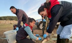 Bolu’da 5 kilometrelik hayalet ağ toplandı