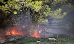 Bolu'da ormanlık alanda yangın