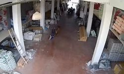 Çankırı’da bir depoya giren inek çalışanlara saldırdı!