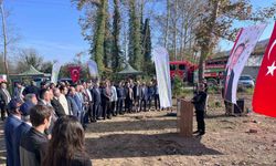 Devrek’te 400 fidan toprakla buluştu