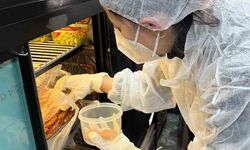 Devrek’te gıda denetimlerinde 2 işletmeye cezai işlem