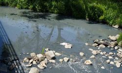 Fabrikaların kirliliğine karşı açılan davada yeni süreç başladı