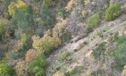 Günlerdir aranan Osman’ın bölge havadan görüntülendi