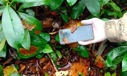 Bozkurt’ta anne ve oğul olayında kayıp telefon da bulundu