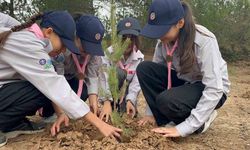 Kastamonu’da fidanlar toprakla buluştu