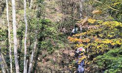 Bozkurt’ta anne ve oğlunun ardından ikinci acı haber