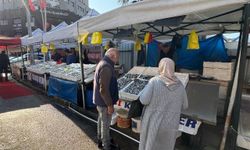 Karadeniz hamsisi yerini farklı balıklara bırakıyor