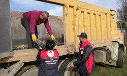 Kastamonu'da 38 bin fide dağıtımı yapıldı