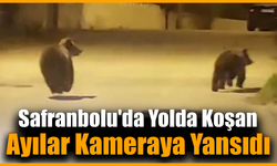 Safranbolu sokaklarında iki yavru ayı görüldü