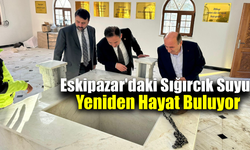 Milletvekilleri Şahin ve Keskinkılıç restorasyon çalışmalarını yerinde değerlendirdi