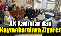 AK Kadınlar'dan Eskipazar ve Ovacık’a çıkartma