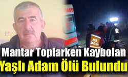 Mantar toplarken kaybolan yaşlı adam ölü bulundu