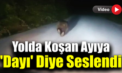 Karabük'te yolda koşan ayı kamerada