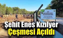 Şehit orman işçisi Enes Kızılyer anısına çeşme açılışı ve fidan dikimi yapıldı