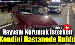 Sokak hayvanı için direksiyonu kırdı, kazadan kaçamadı!