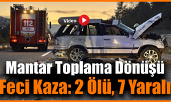 Mantar toplamadan dönen ailenin cipi taklalar attı