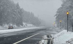 Bolu Dağı'nda kar yağışı yeniden başladı