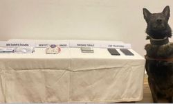 Bolu’da araçta metamfetamin ve bonzai ele geçirildi