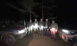 Bolu’da kaçak avcılığa karşı denetimler sürüyor