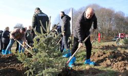 Bolu’da yangın faciasında ölen 78 kişi için fidan dikildi