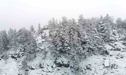 Bolu'nun yükseklerinde kar yağışı etkili oluyor