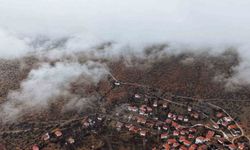 Çankırı'da sis ve kızıla bürünen ormanlar mest etti