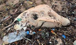 Bartın’da dev dalgalar yunus kalıntılarını karaya sürükledi