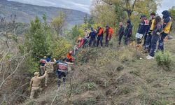 Defne toplamak için gittiği ormanda hayatını kaybetti