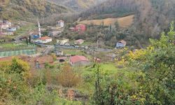 Silahlı saldırı sonrası kaçan şüpheli yakalandı