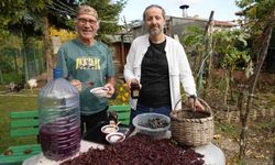 Kokulu kara üzüm kırsal kalkınma için umut oluyor