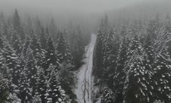 Karabük'ün yüksek kesimleri beyaza büründü