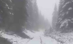 Karabük'ün yüksek kesimlerinde kar yağışı devam ediyor