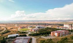 Kastamonu Üniversitesi’nden kontrplak üretimine patent