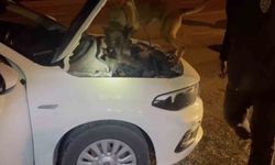 Kastamonu'da uyuşturucu operasyonu: 5 tutuklama