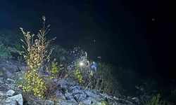 Otomobil şarampole yuvarlandı: 1 yaralı